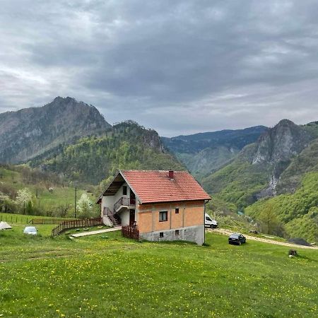 Family Owned Self Sufficient Eco Farm Tara Hotell Pljevlja Eksteriør bilde