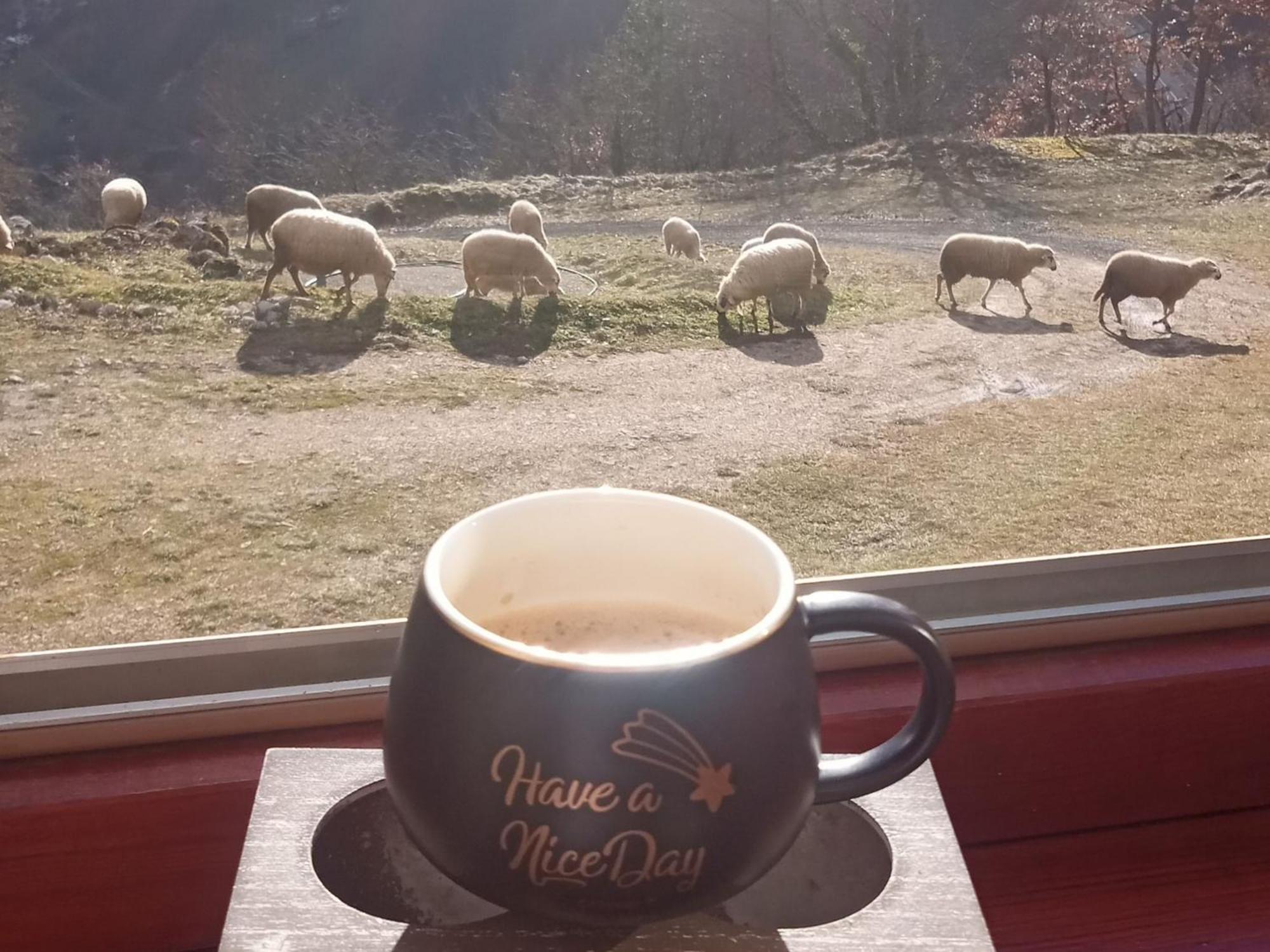 Family Owned Self Sufficient Eco Farm Tara Hotell Pljevlja Eksteriør bilde